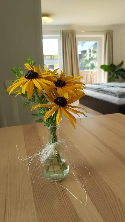 Appartement Schweizer Hof à Tamsweg Extérieur photo