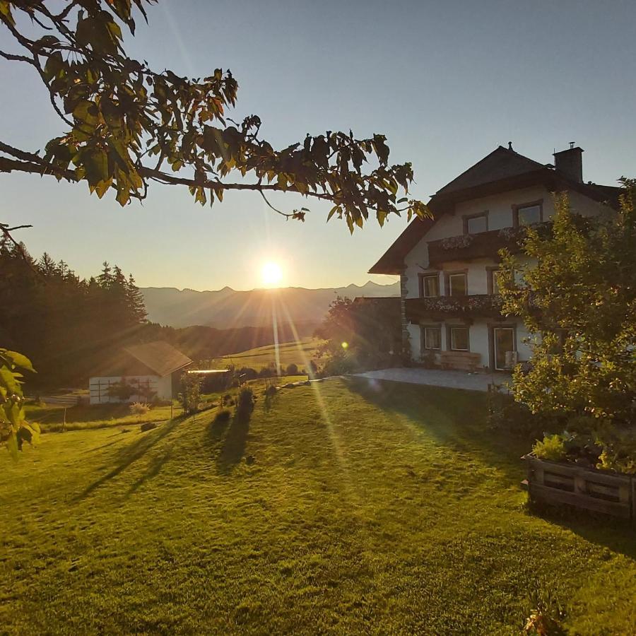 Appartement Schweizer Hof à Tamsweg Extérieur photo