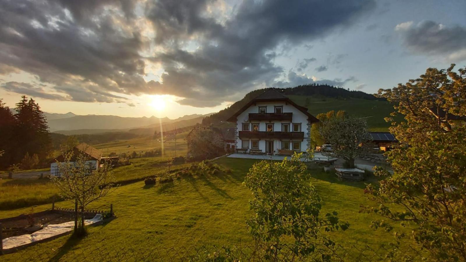 Appartement Schweizer Hof à Tamsweg Extérieur photo